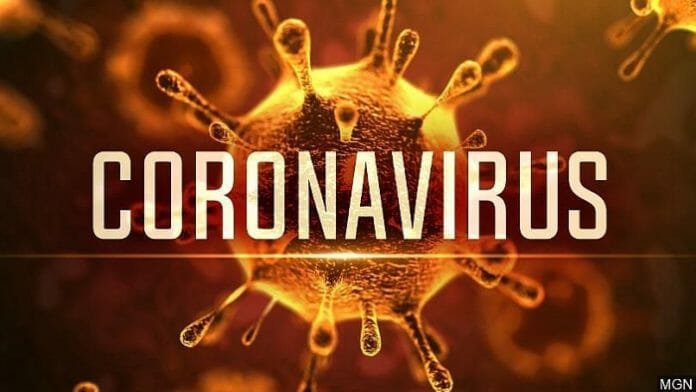 coronavirus gây bệnh bắt nguồn từ thành phố vũ hán, trung quốc